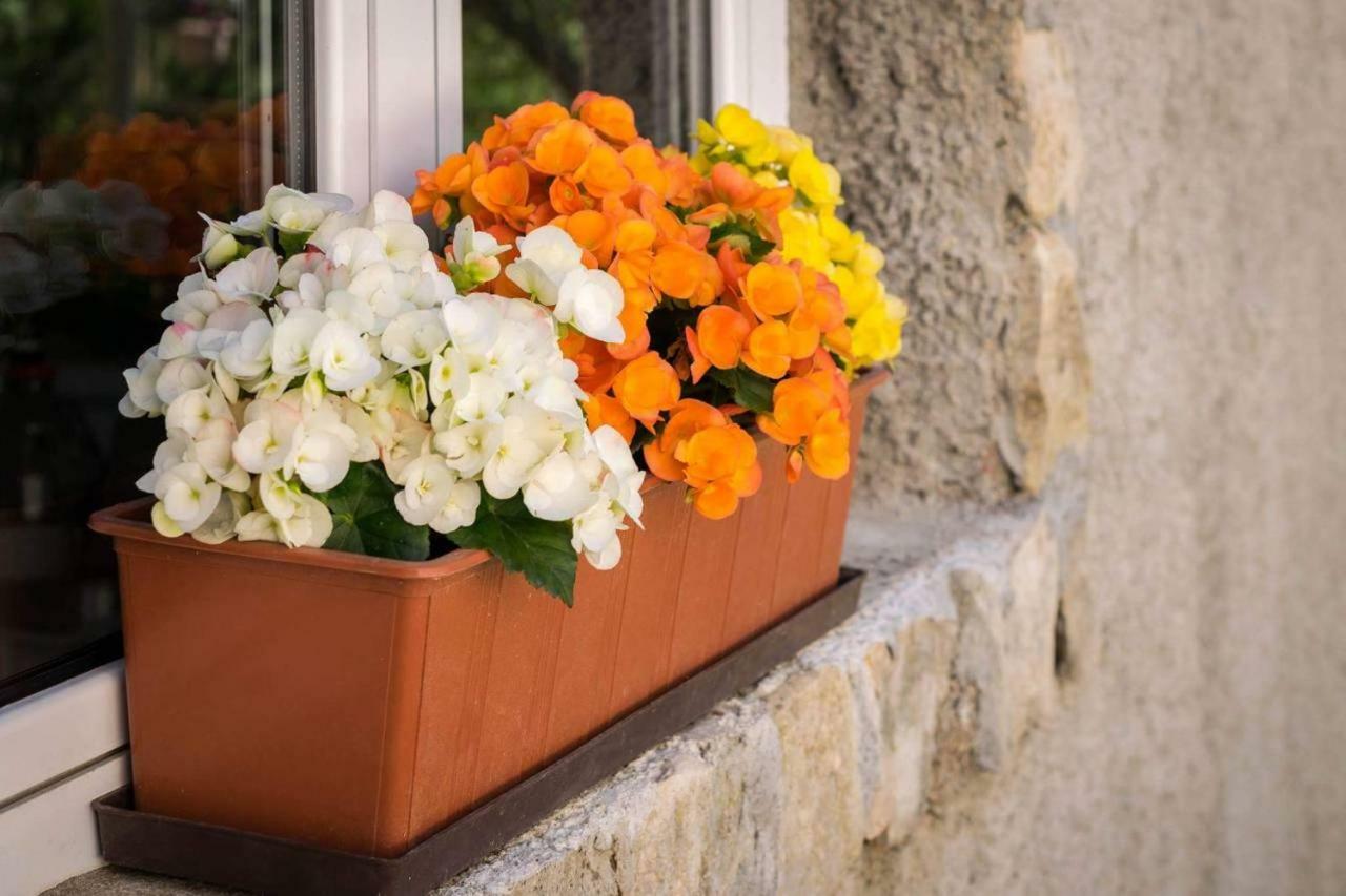 Apartman Tea Apartment Zadar